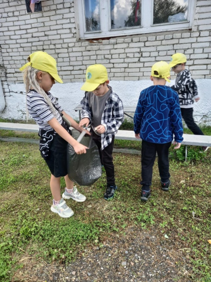 Акция "Чистый двор".